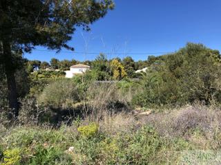 Terreny residencial a La Granadella - Costa Nova. Jáveaxàbiaterreno