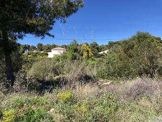 Terreny residencial a La Granadella - Costa Nova. Jáveaxàbiaterreno
