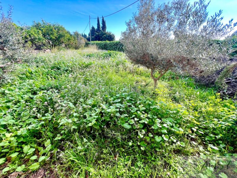 Foto 9120550c-b41d-41e8-bf5e-bb5007fa403f. Xalet amb aparcament a Montañar-El Arenal Xàbia