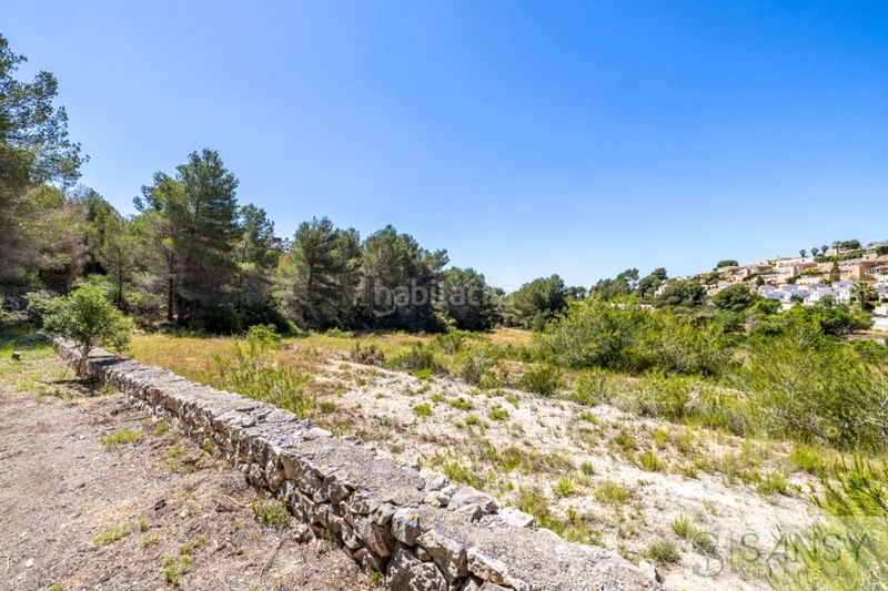 Foto 0843fd95-41ed-428b-ac08-b12639a5ae86. Pis a Paichi Moraira