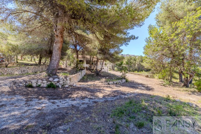 Foto bec26e81-42b4-4089-b166-3d92b5f8ead9. Pis a Paichi Moraira