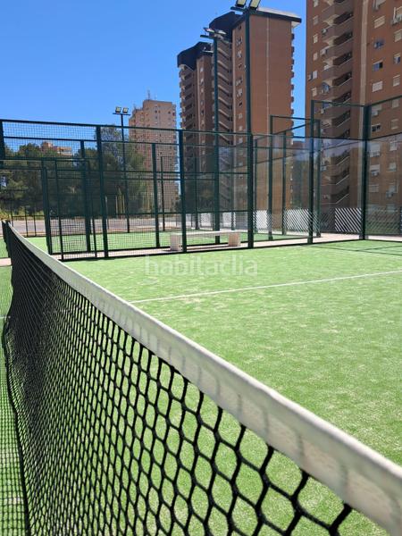Foto 7aa7a4ce-18b4-4a8c-b107-8c40c2517a0e. Apartament amb calefacció aparcament piscina a Gran Playa Santa Pola