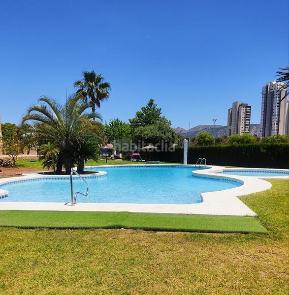 Foto 5a25a5a6-f238-447d-a7d6-03d252682252. Piccolo appartamento con riscaldamento parcheggio piscina in Benidorm