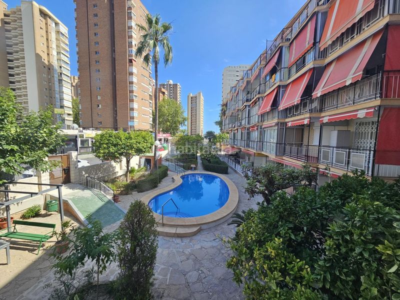 Foto d5c3d115-3667-490e-b77d-1f324e57b7dc. Pis amb calefacció aparcament piscina a Playa Levante Benidorm