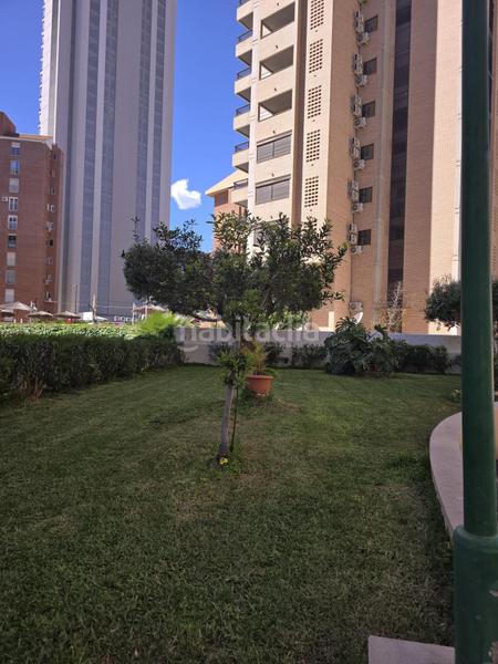 Foto bdd14c32-1adf-4798-b101-a4120381895e. Apartamento  en zona rincón bajo, en Playa Levante Benidorm