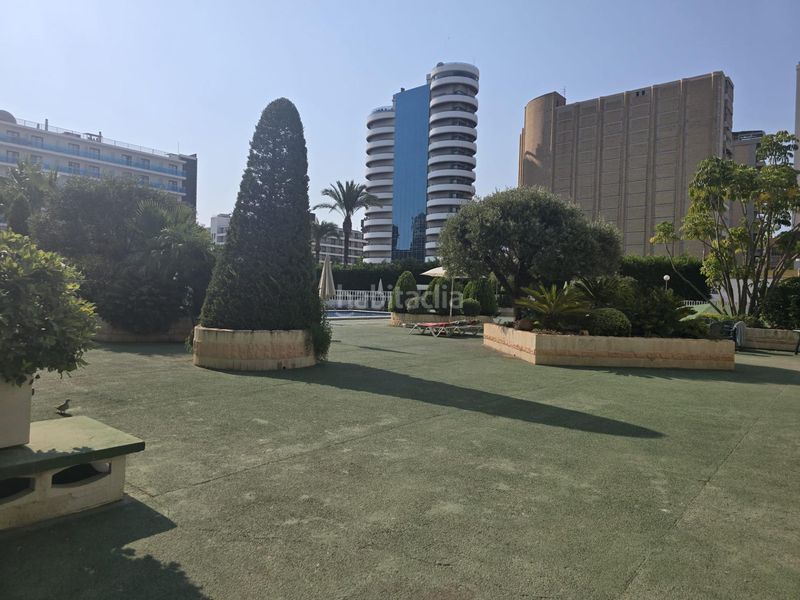 Foto c45da446-a020-4525-ba91-46d3df862f61. Apartament amb piscina a Levante Alto Benidorm