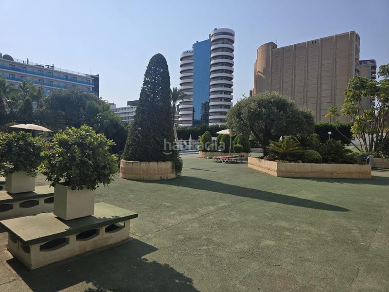 Foto e1556eca-910d-4c25-8f3a-50752ac410f3. Apartament amb piscina a Levante Alto Benidorm