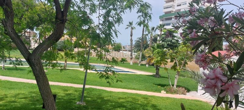 Foto 482fce42-1e82-4a45-9461-456c48954b35. Piso se vende piso en cala en Playa Poniente Benidorm
