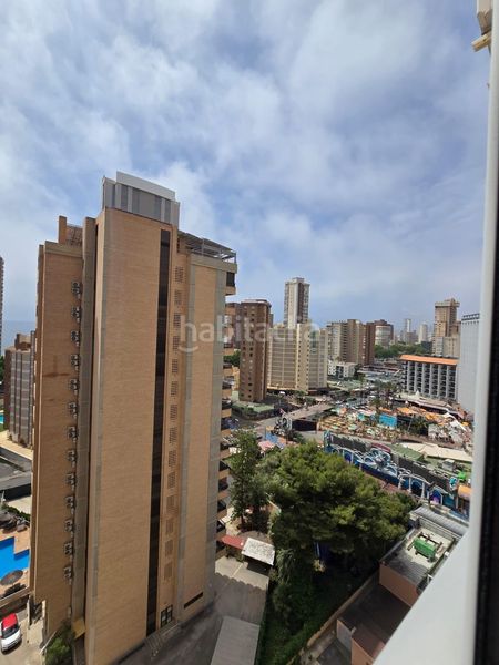 Foto 1360cb98-6f62-444d-9bd3-6c6b9324d19e. Apartament amb calefacció aparcament piscina a Playa Levante Benidorm