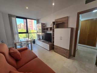 Lloguer Apartament a Centro Urbano. Se alquila apartamento en el centro e benidorm