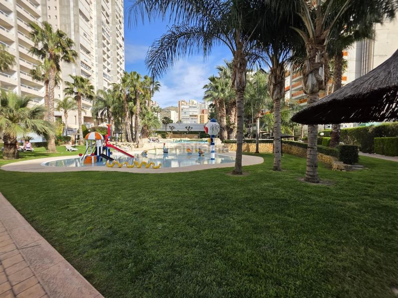 Foto 0dc14b30-f2b2-4e4d-9ab1-86cae1aba8ed. Apartament amb calefacció aparcament piscina a Rincón Bajo Benidorm