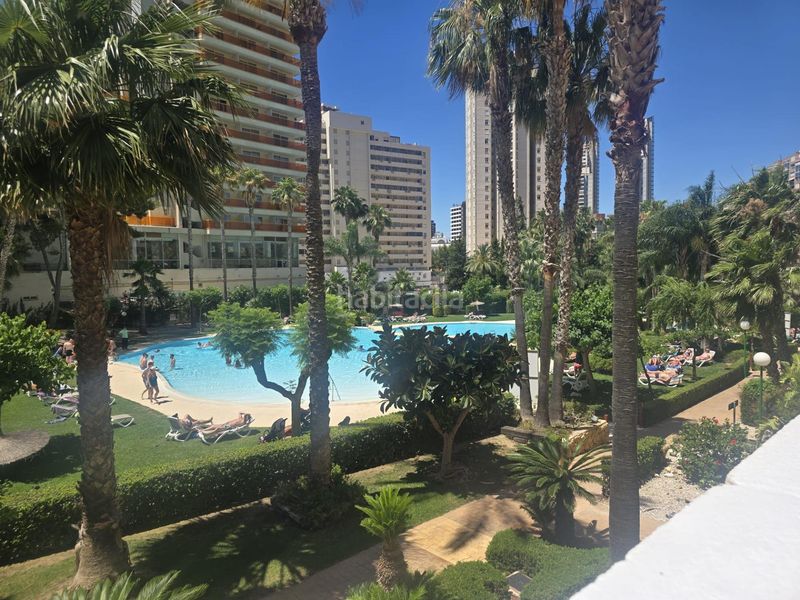 Foto 1ff764f1-2c51-467c-9c4b-9c41089a194c. Apartament amb calefacció aparcament piscina a Rincón Bajo Benidorm