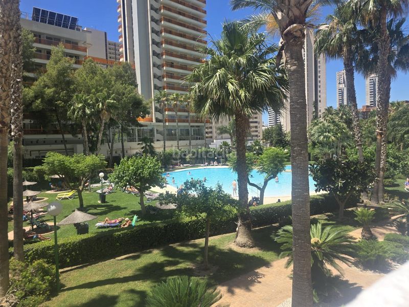 Foto 79567e78-4693-4712-a9e2-05bebf0b0365. Apartament amb calefacció aparcament piscina a Rincón Bajo Benidorm