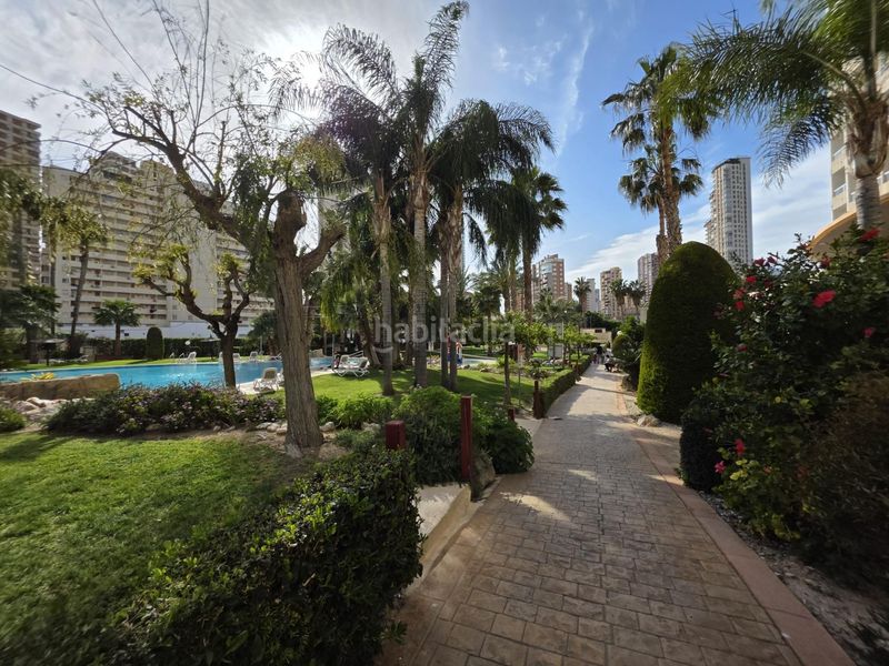 Foto d8c569a3-75cb-403b-9c1d-db3fc2e59d3f. Apartament amb calefacció aparcament piscina a Rincón Bajo Benidorm