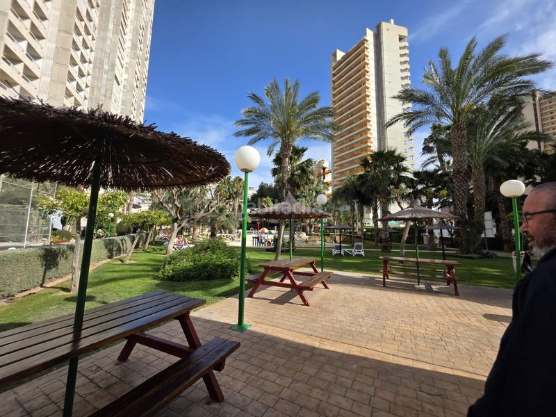 Foto e262fb7d-d8aa-4392-95f1-2c09edee3a45. Apartament amb calefacció aparcament piscina a Rincón Bajo Benidorm