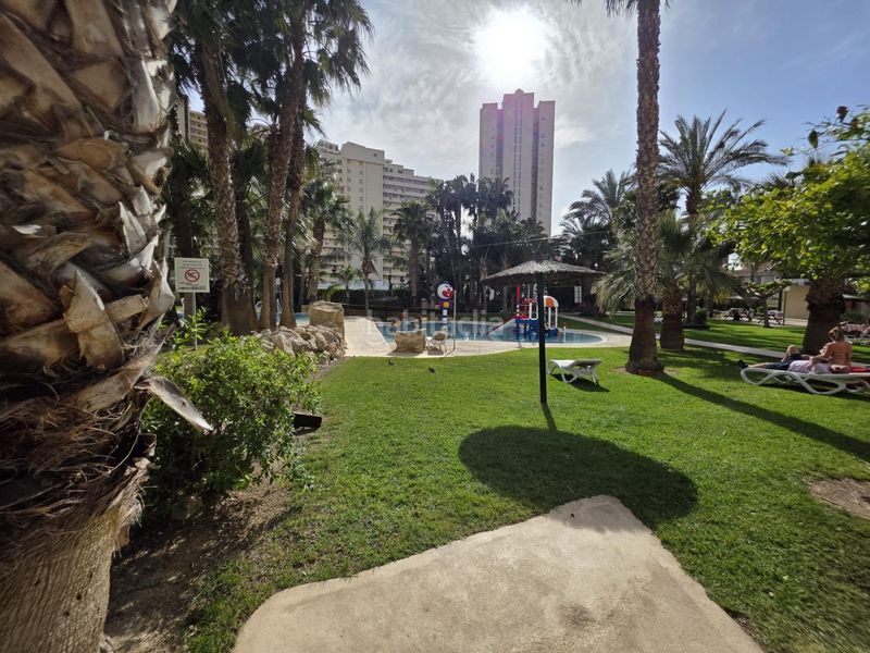 Foto effa0cc1-cbb9-4be2-b86a-84efba4747cd. Apartament amb calefacció aparcament piscina a Rincón Bajo Benidorm