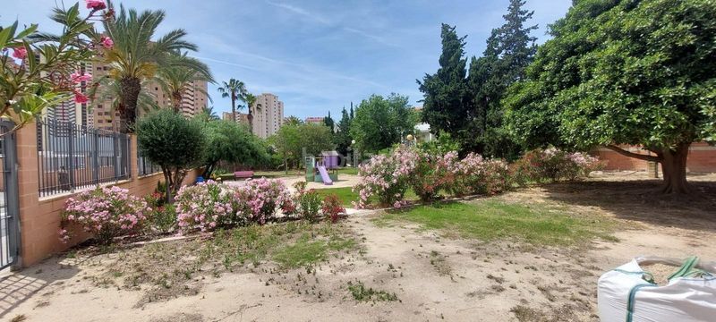 Foto 9af2415a-e557-4887-859c-5cc3442da0c0. Pis amb aparcament piscina a Playa Poniente Benidorm