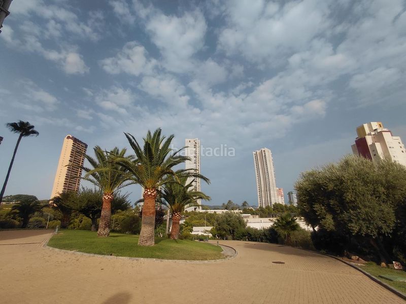 Foto 525fad04-7dd7-42ec-a9b2-ed1017d6e173. Apartament amb piscina a Via Parque Benidorm