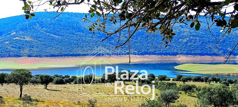 Foto 00e97ba9-a9a4-496d-83f7-1d168d094edd. Terreno residencial en Anchuras