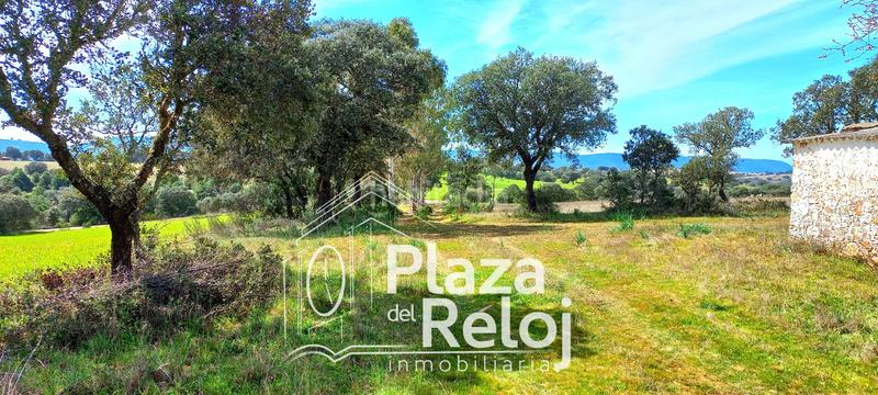 Foto 679a4c99-f14e-4663-9e40-29e883885b80. Terreno residencial en Anchuras
