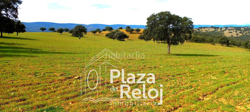 Foto 6c02dde5-158c-4064-8ee5-595b37297c08. Terreno residencial en Anchuras