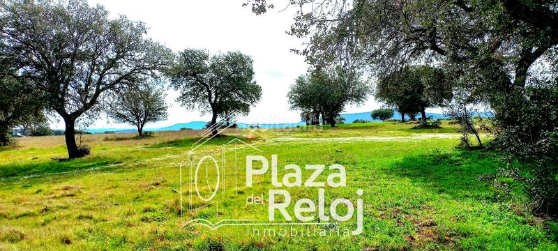 Foto 6d396a29-4bb3-4aef-9171-c11f045b5d9e. Terreno residencial en Anchuras