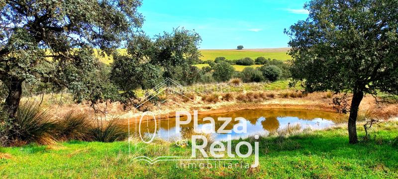 Foto 769c5427-b466-4022-a491-31625ef510ff. Terreno residencial en Anchuras