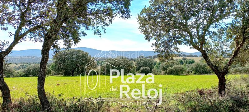 Foto 823d94e7-9434-482f-aa5f-5e23be15c3e9. Terreno residencial en Anchuras