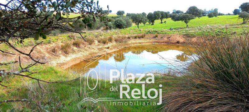 Foto 851127bf-800b-4bbc-8fb4-8a559c9b8044. Terreno residencial en Anchuras