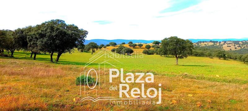 Foto 87e59993-55d7-4c25-b23d-46eb359c999d. Terreno residencial en Anchuras
