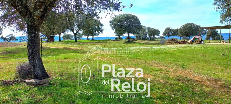 Foto 8a79e253-58ed-4291-9cd3-420764b6de7d. Terreno residencial en Anchuras