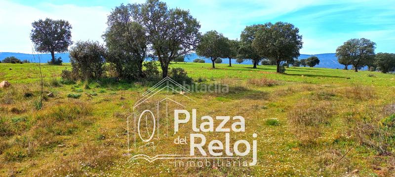 Foto a28bf35e-4799-41dc-8051-0792b6286eee. Terreno residencial en Anchuras