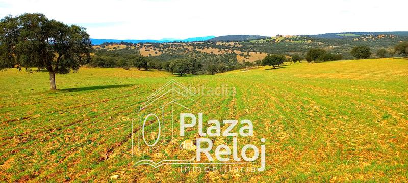 Foto c87a5dd7-9d9d-4be9-b993-8043aff9b5ce. Terreno residencial en Anchuras