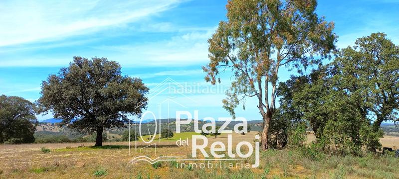 Foto d7b60386-6f30-4bdc-a148-e2da9ada1440. Terreno residencial en Anchuras