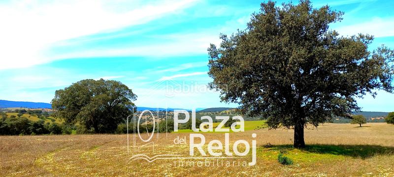 Foto e616935b-3eb2-4f78-9157-f0f489f79300. Terreno residencial en Anchuras
