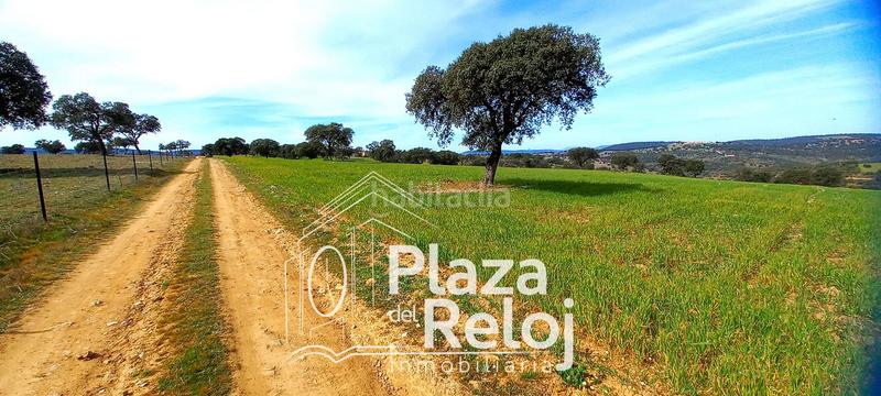 Foto f4b15d53-58d4-4f75-b16e-c5cbfc10f143. Terreno residencial en Anchuras