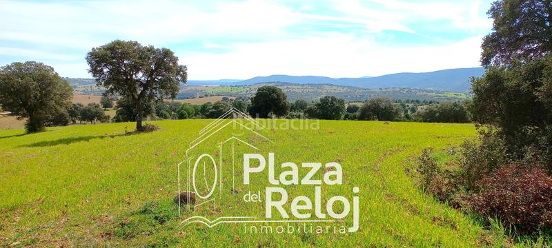 Foto f804524e-900e-49b2-a25e-2c88a8b5fb13. Terreno residencial en Anchuras