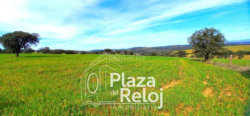 Foto f87954ce-eaf4-44ed-8ae3-392425c70f7d. Terreno residencial en Anchuras