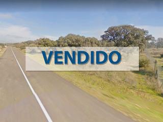 Terreno residenziale in Calle de los olivos 366