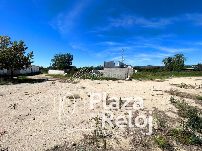 Foto 425089e1-fd75-45d9-86de-e4e46df99147. Finca rústica a calle polígono rústica-12 2 a Pepino