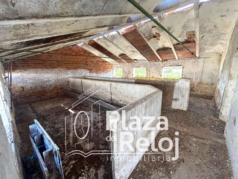 Foto c84e3d53-4c9e-4892-be3d-10dde4a906dd. Finca rústica a calle polígono rústica-12 2 a Pepino