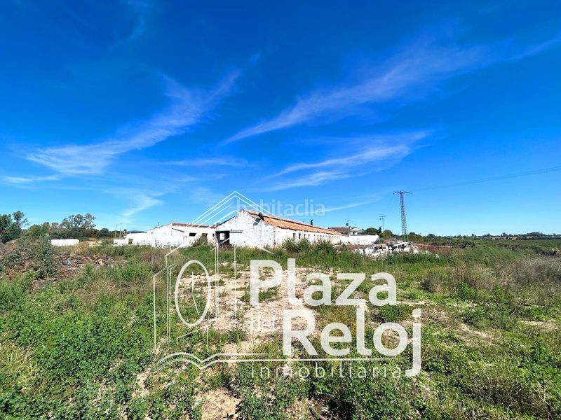 Foto d88652d9-e578-4754-8fb8-6c360091cbdb. Finca rústica a calle polígono rústica-12 2 a Pepino