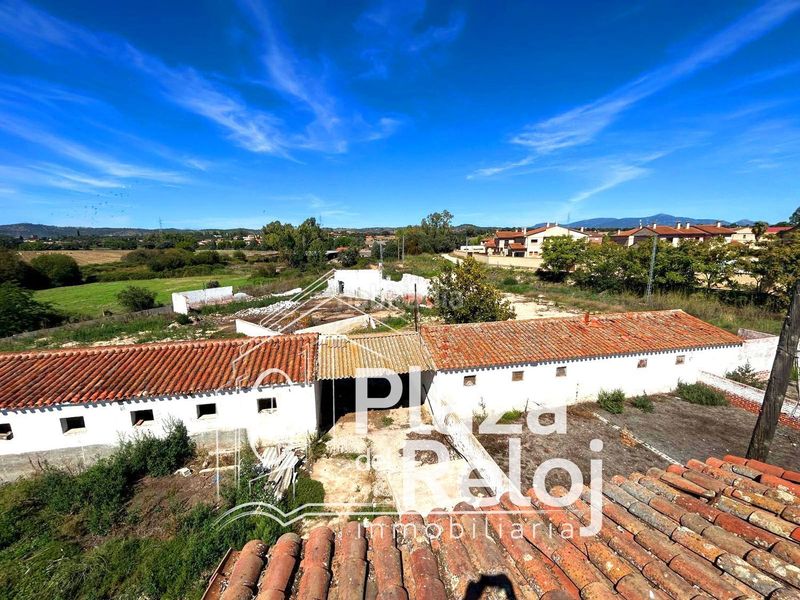 Foto da32d047-fdd3-4879-9128-b9cb9f627c5b. Finca rústica a calle polígono rústica-12 2 a Pepino