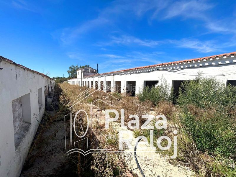 Foto e74f8ec2-13b1-44b8-9cb1-cf2263650c49. Finca rústica a calle polígono rústica-12 2 a Pepino