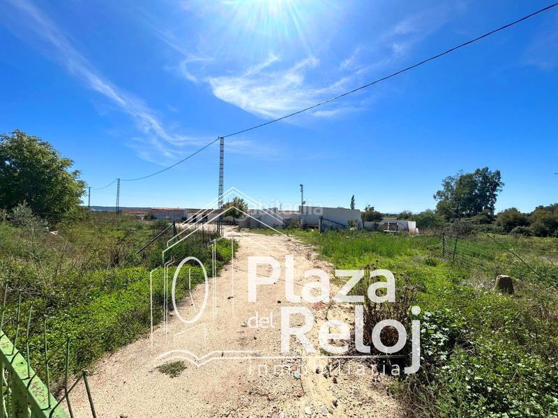 Foto e985ccce-1a43-41ef-a1de-3e89c780e1b0. Finca rústica a calle polígono rústica-12 2 a Pepino