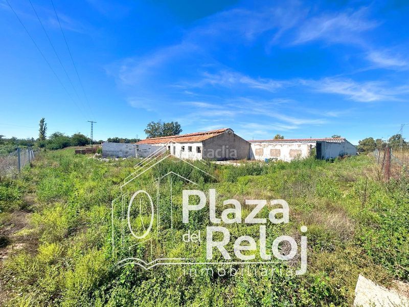 Foto eb624248-dea3-40ea-81e3-6a51850f6632. Finca rústica a calle polígono rústica-12 2 a Pepino