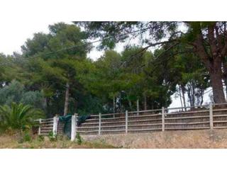 Rural plot  Can nicolau. Terreno urbanizable en venta en avda can nicolau