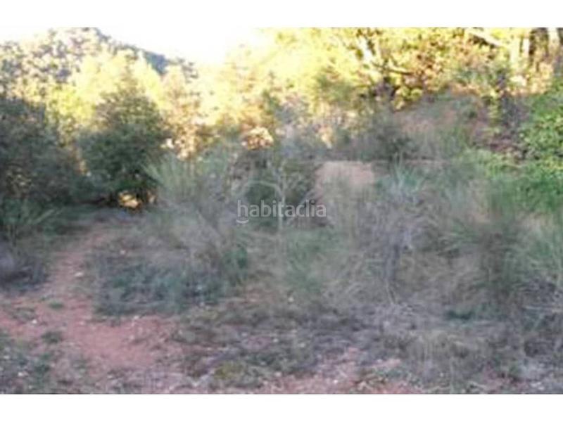 Foto 7b4f2fbf-e5a6-491b-85c0-0b4b01ddfa00. Rural plot in Vacarisses