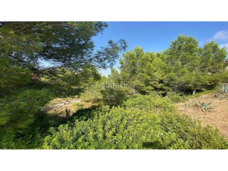 Foto 6f4f57a4-03ac-4577-9984-8af0a90cfc48. Finca rústica a Poble Mont-roig del Camp