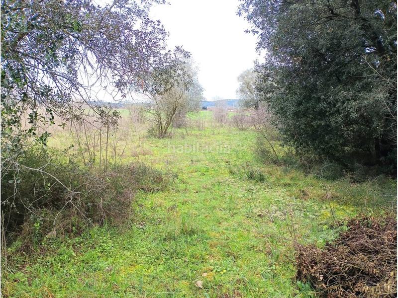 Foto 1806c2a9-a292-4a3e-aa91-6e077c505e84. Casa in Esponellà